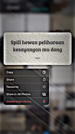 SPILL HEWAN