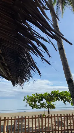 9 vid clips template