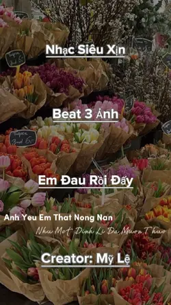Beat 3 Ảnh