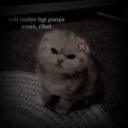 Trend Biyytotiwyetiw
