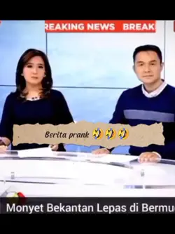 foto/video temanmu