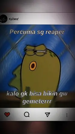 percuma bg
