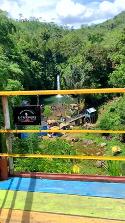 🍃