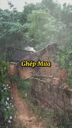 Ghép Mưa
