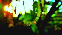 cinematic slow