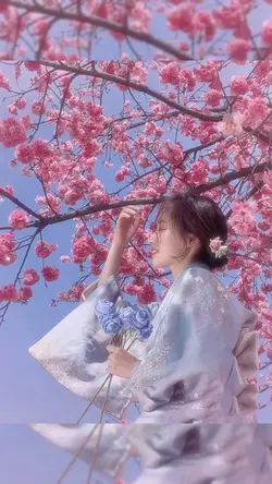벚꽃축제