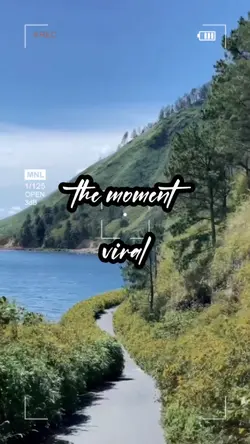 viral tiktok