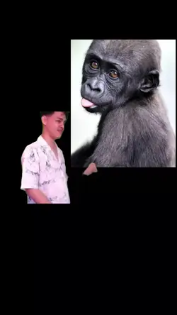 nih buat temen lo