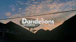 Dandelions