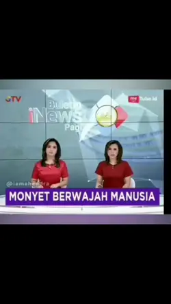 Prank muka monyet