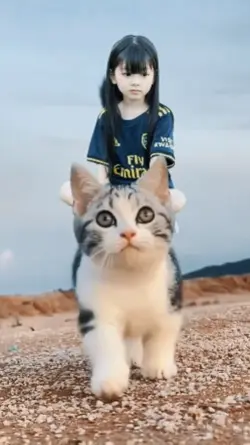 Naik kucing