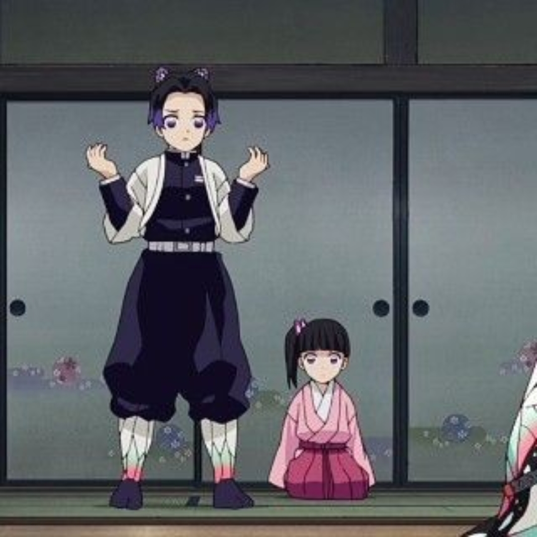 shinobu vs mitsuri