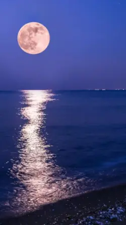 ビックなお知らせする時に使って