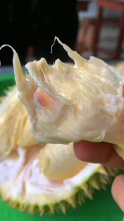 Durian