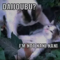 not nani nani gk tuh