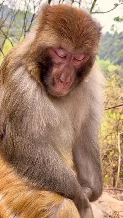 tidur ngorok