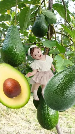 Bocah aVocado