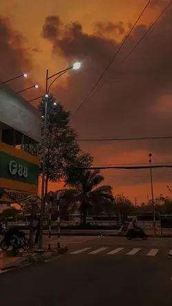 Video + Màu + Lời