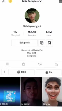 TREND PROFIL TIKTOK