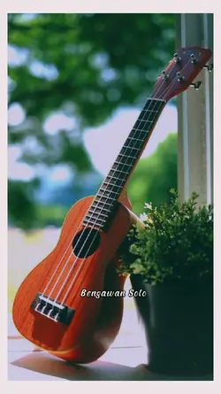 Bengawan Solo