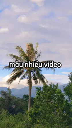 mẫu nhiều video 