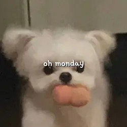 oh monday
