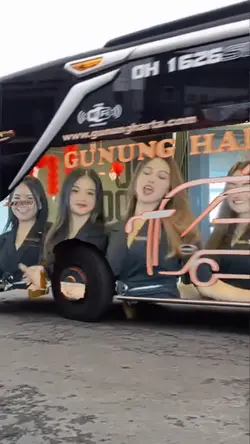 bus