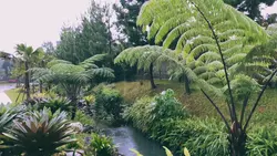 Cinematic Rainy