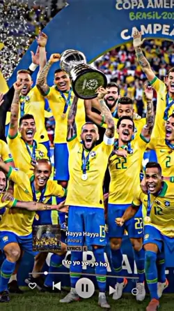 Timnas brazil