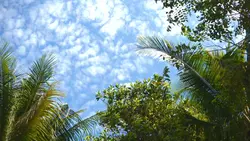 Cinematic Vlog Video