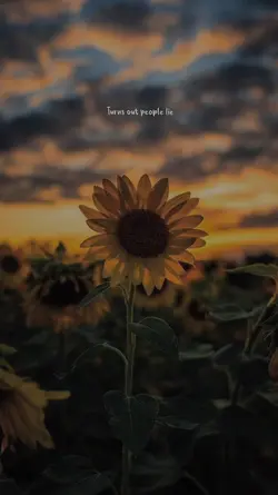 YANG KOMEN SEMOGA