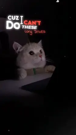 #MinuteLongSong