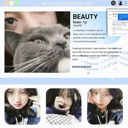 미적 사진 프레임 