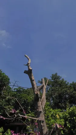 Cinematic x slowmo