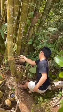 Yg Lagi Viral Nih