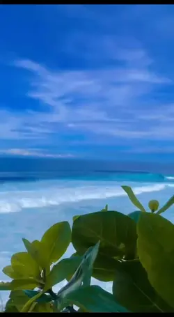 Slowmotion