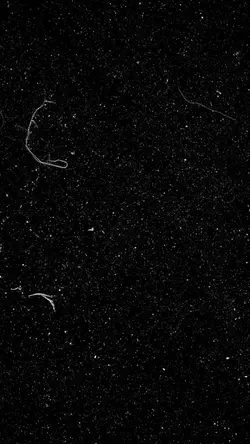 1 ảnh tâm trạng