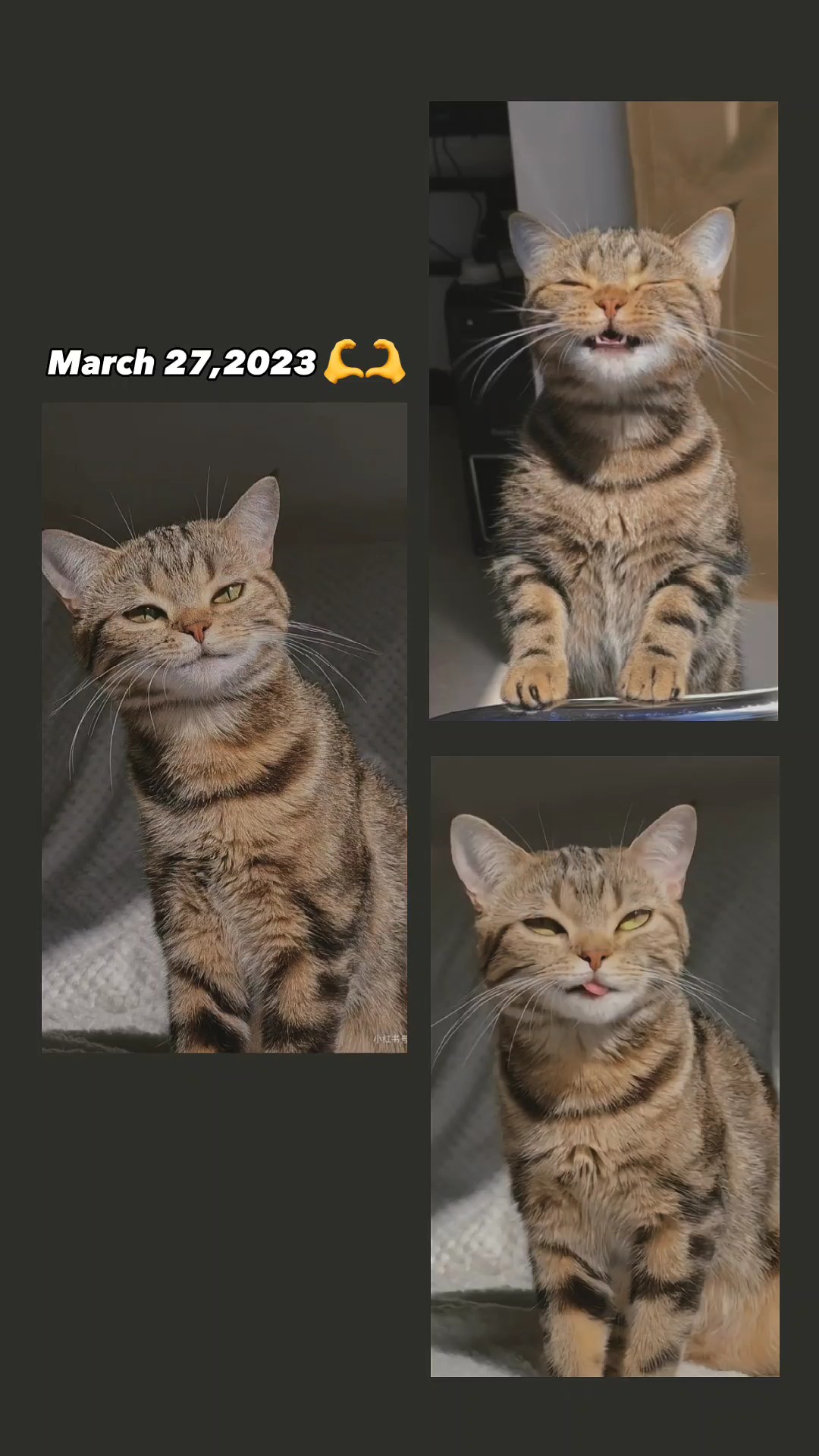 27 de marzo |
