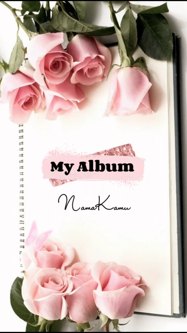 Mi Álbum 