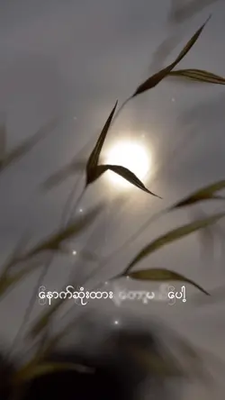 ไส่รุป