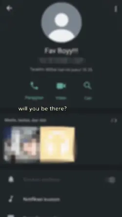 ss frofil wa blur