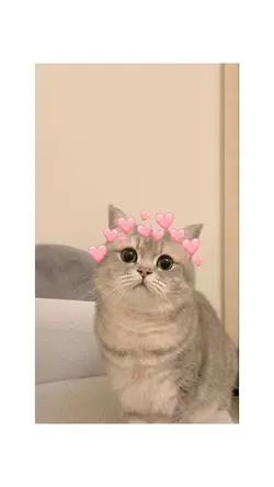 Bingkai foto putih