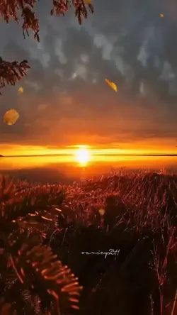 memori cinta semalam