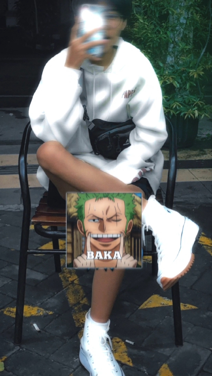 Baka Zoro 