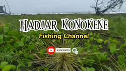 Opening youtube