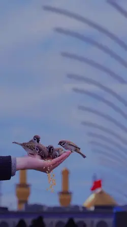 ALANGKAH INDAH ORANG