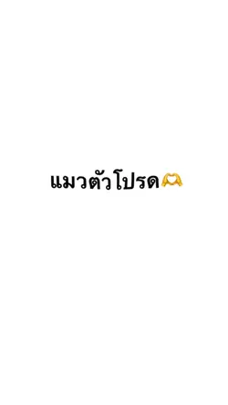 แมวตัวโปรดด🤍