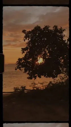 Transisi 4 video
