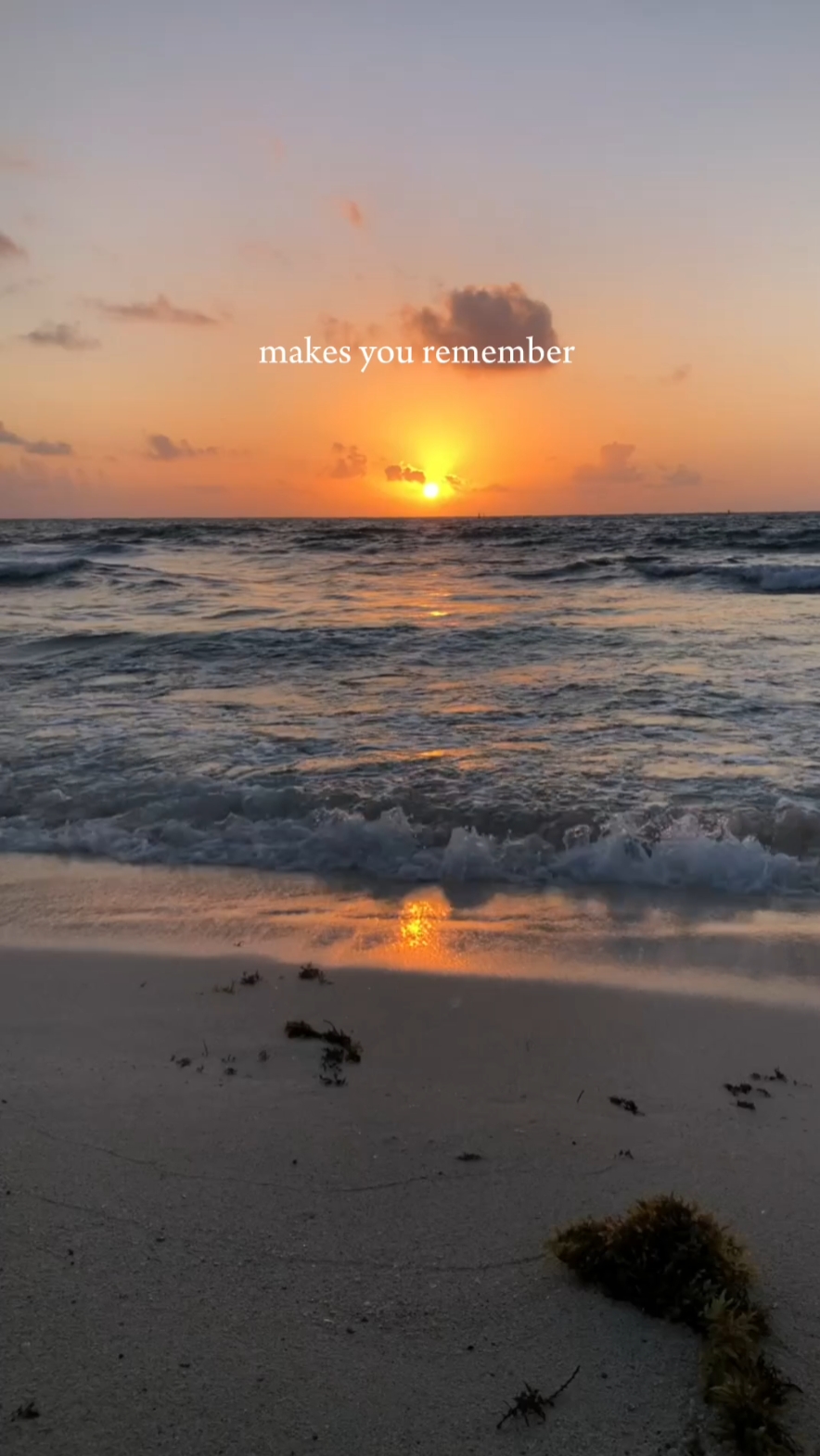 if anythg the ocean