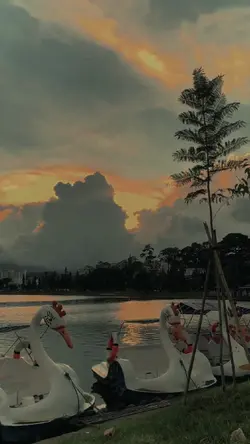 Slow thiên nhiên